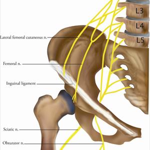 Sciatic Nerve Help Please - Sciatica ... The Forgotten Cause