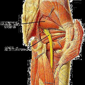  BACK PAIN: THE EPIDEMIC